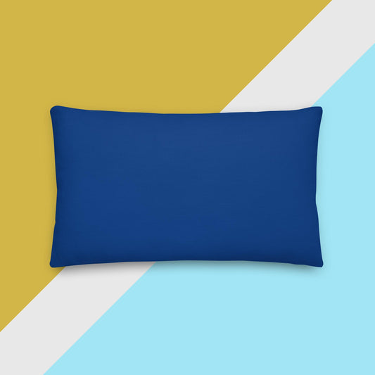 Abstract Rainbow Circle Premium Pillow