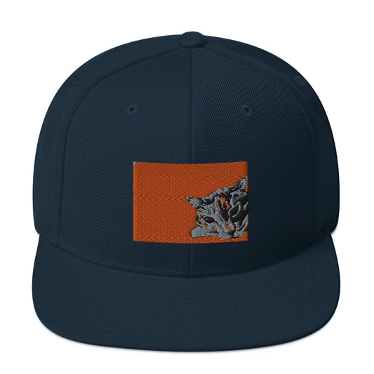Calico Cat on Orange Snapback Hat
