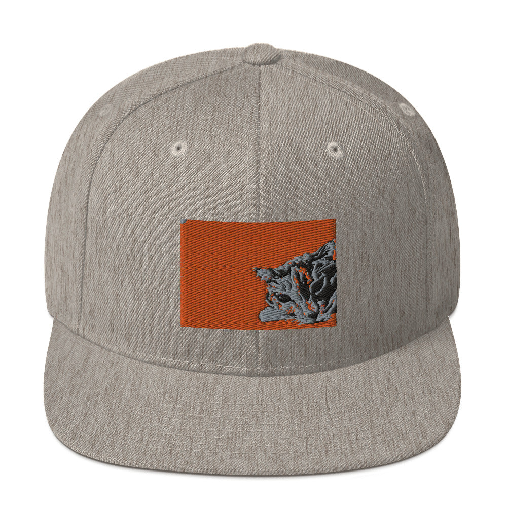 Calico Cat on Orange Snapback Hat