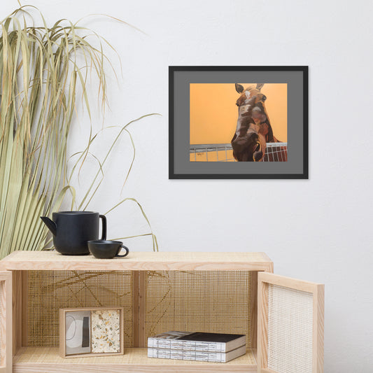 A Horse I Met in Tucson Framed poster