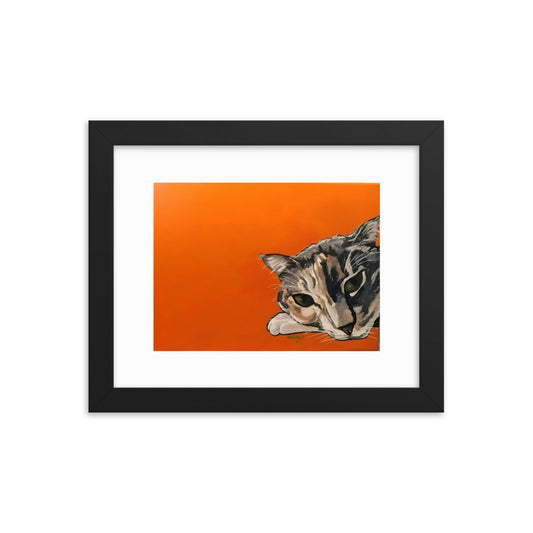 Calico Cat on Orange Framed poster