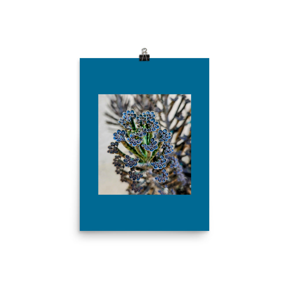 Mother of Thousands Poster