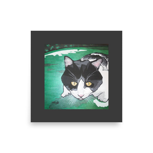 Black and White Cat in Green Grass Poster