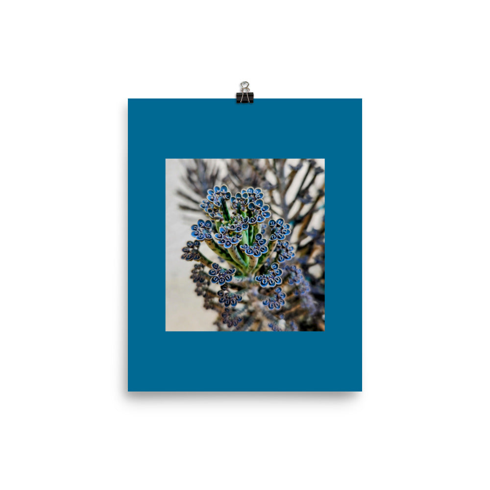 Mother of Thousands Poster