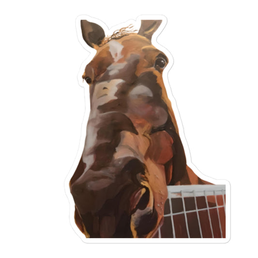 A Horse I Met in Tucson Bubble-free stickers