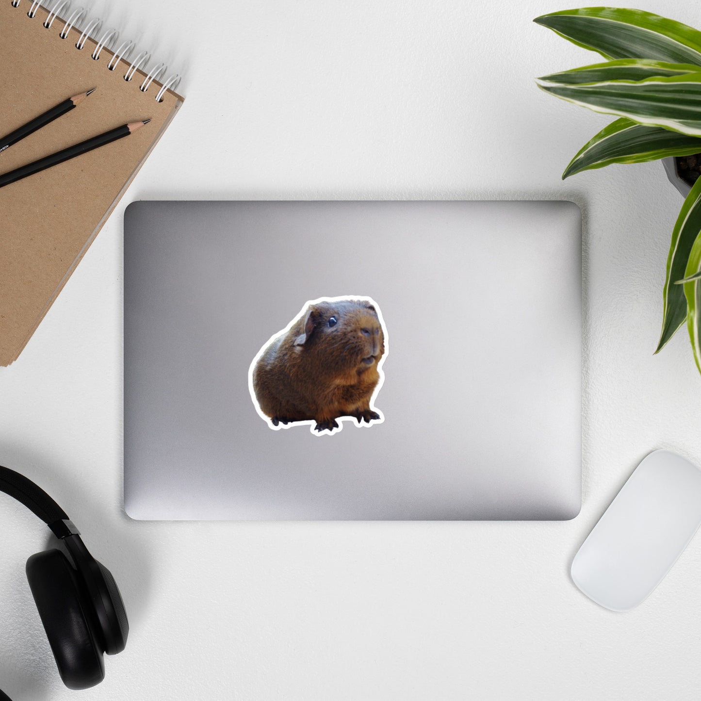 Gunther the Guinea Pig Bubble-free stickers