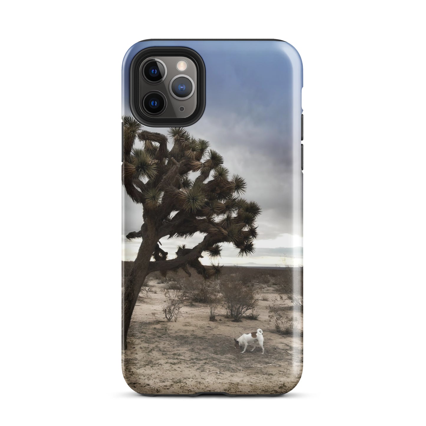 Dog in the Desert Tough Case for iPhone®